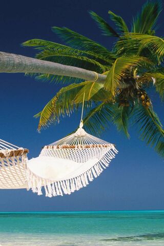 Tropical Bliss: The Perfect Hammock Escape 🌴🌊