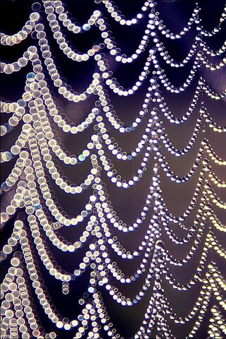 Glistening Symphony of Dewdrops ✨💧