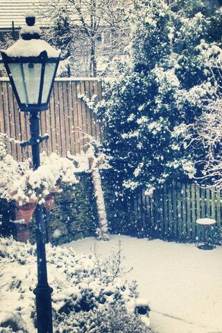 Winter Wonderland in the Backyard ❄️🏡