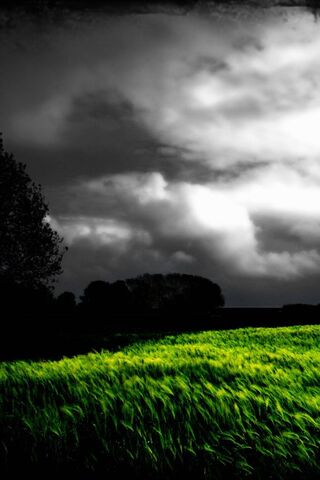 Nature's Dark Side: A Storm Approaches