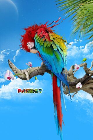 Tropical Vibes: The Colorful Parrot