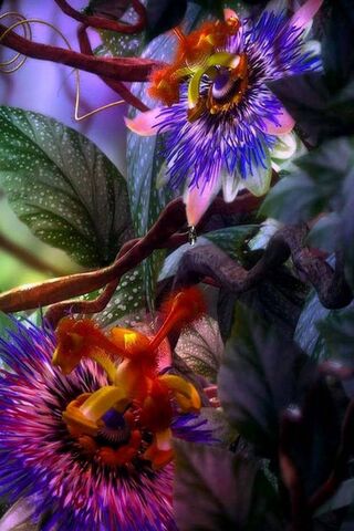 Mystical Blooms: Nature's Artistry 🌸✨