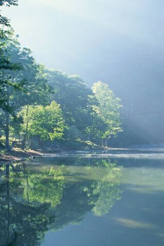 Tranquil Reflections in Nature 🌿✨