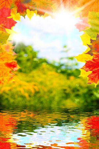 Golden Leaves and Reflections 🌅🍂