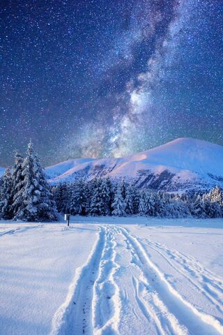 Winter Wonderland Under the Stars ❄️✨