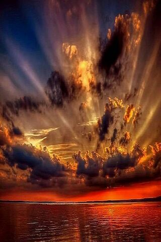 Sunset Symphony: Nature's Canvas 🎨🌅