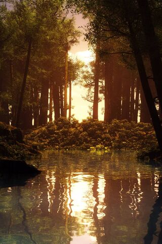 Golden Reflections: A S..
