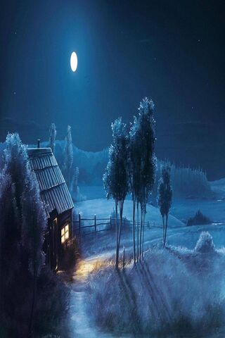 Whispers of the Night Moon