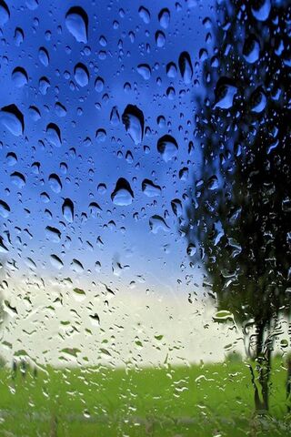 Whispers of a Rainy Day