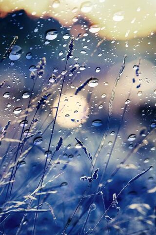 Rain Abstract