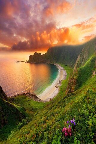 Serenity at Lonely Beach 🌅🏖️