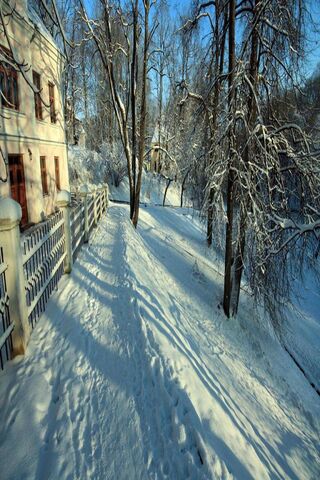 Winter Wonderland Walk ❄️🌲