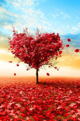 Love tree, nature, HD phone wallpaper