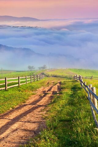 Morning Serenity in the Countryside 🌄🌿