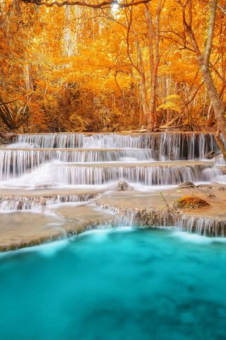 Autumn Serenity: The Enchanted Forest Waterfall