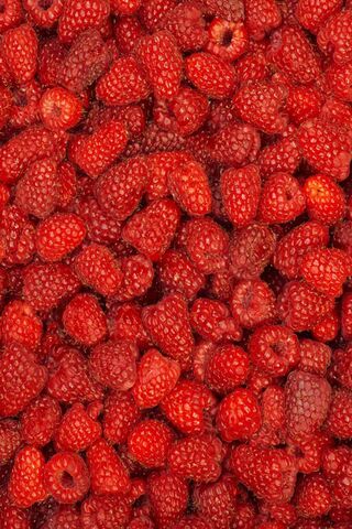 Raspberry Paradise 🍓✨