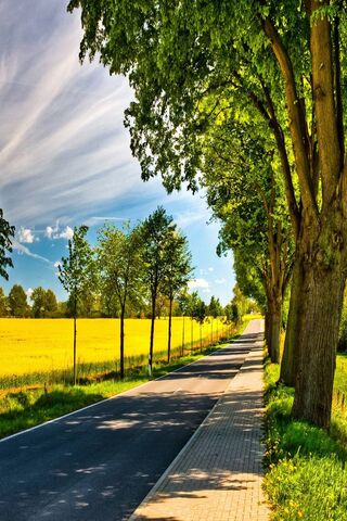 Serenity on the Country Road 🌳🌞