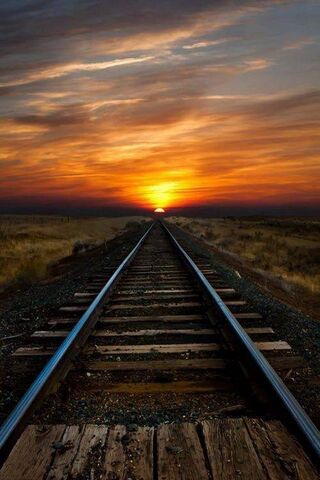 Journey to the Horizon 🌅🚂