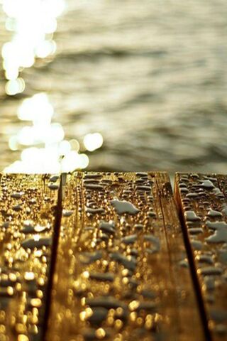 Golden Reflections: Nat..