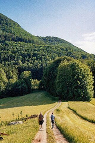 Nature's Pathway: A Journey Through Serenity 🌳🚶