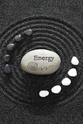 Harmony in Stillness: The Zen Garden Experience