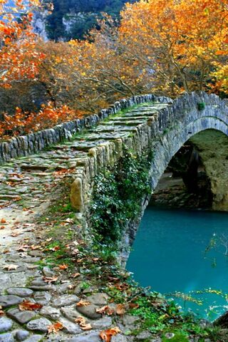 Autumn Serenity: A Brid..