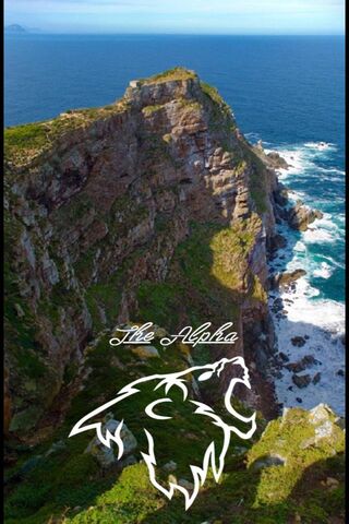 Majestic Leo: The King of the Zodiac 🌟🦁