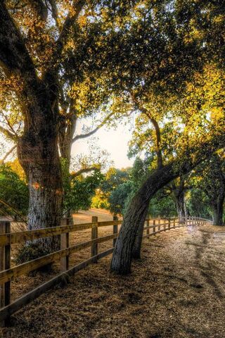 Whispers of Autumn 🍂