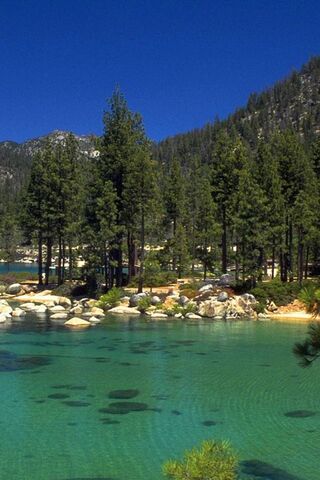 Tranquil Waters: A Glim..