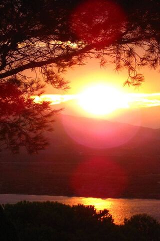 Golden Horizon: A Sunset Symphony 🌅✨