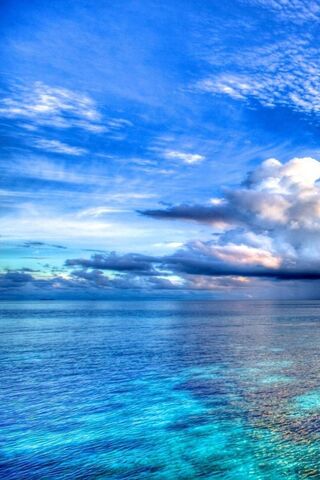 Tropical Serenity: A Co..