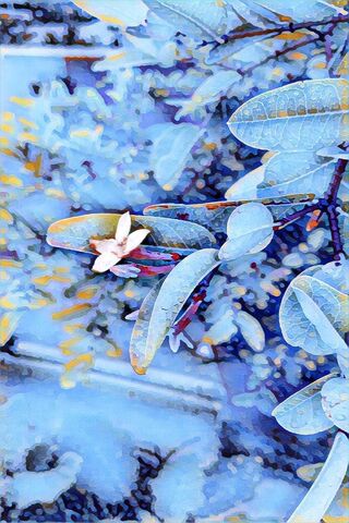 Frosted Blooms: Nature's Resilience ❄️🌸