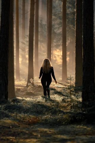 Whispers of the Forest 🌲✨