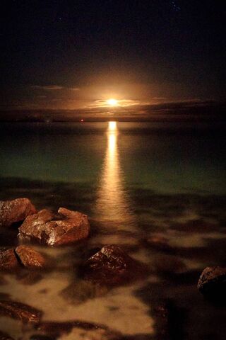 Lunar Serenade: A Night by the Sea 🌕✨