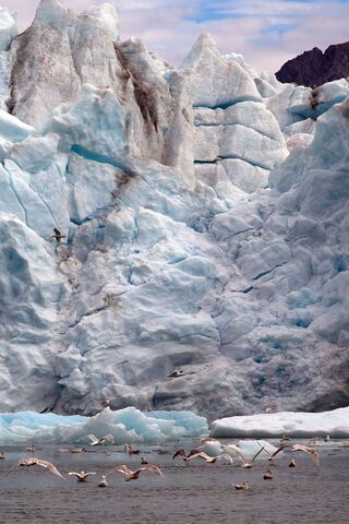 Majestic Ice: The Glaci..