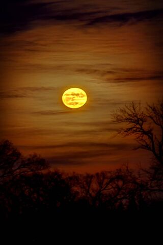 Mystical Glow of the Golden Moon