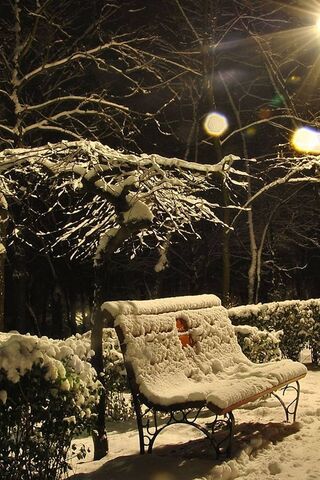 Whispers of Winter: A S..