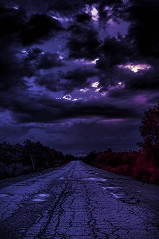 Journey Through the Twilight
