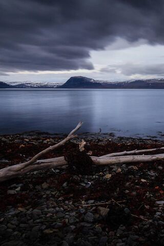 Chill Serenity at Winter Beach ❄️🌊