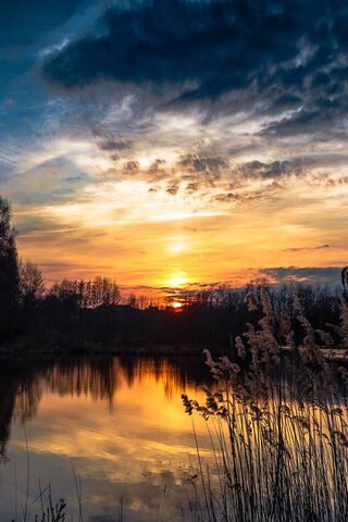 Golden Reflections: A Tranquil Evening
