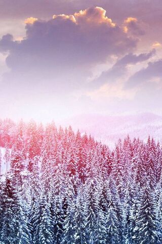 Whispers of Winter: A Snowy Forest Dream