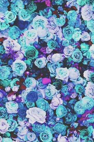 Mystical Blooms: A Flor..