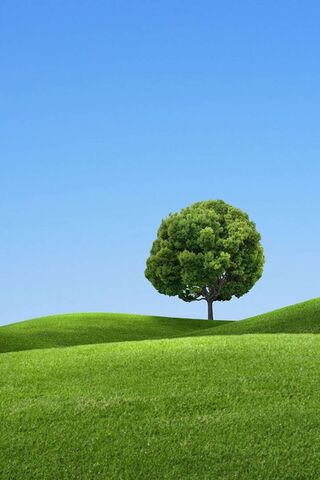 Serenity in Green 🌳✨