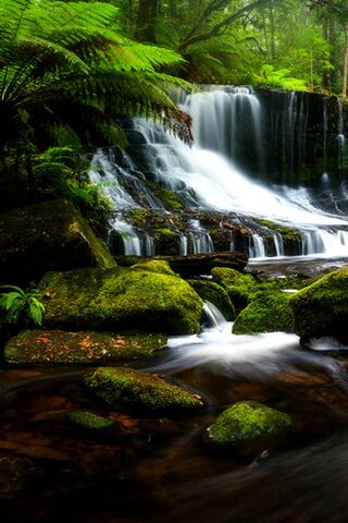 Serenity in the Tropics 🌿💦