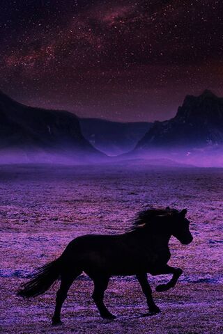 Breathtaking Horse