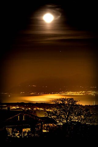 Luminous Serenity: A Night Under the Golden Moon