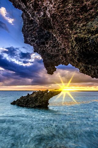 Golden Horizon: Embracing the Sunshine