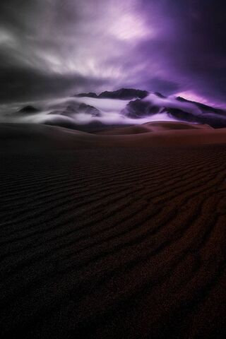 Whispers of the Desert Night