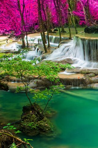 Enchanted Serenity: The..