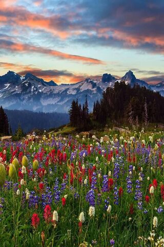 Nature's Colorful Canva..